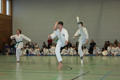 IMG_1402_bearbeitet-1