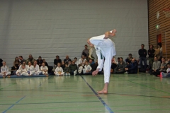 IMG_1410_bearbeitet-1