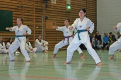 IMG_1440_bearbeitet-1