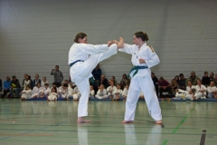 IMG_1481_bearbeitet-1