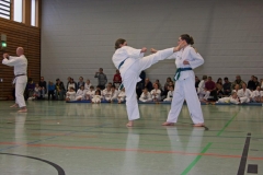 IMG_1485_bearbeitet-1