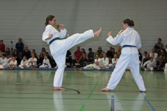 IMG_1487_bearbeitet-1