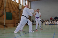 IMG_1500_bearbeitet-1