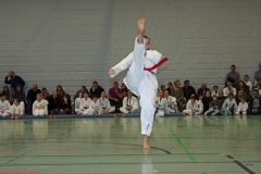 IMG_1517_bearbeitet-1