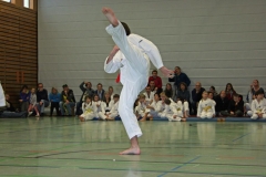 IMG_1528_bearbeitet-1