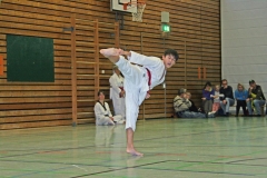 IMG_1534_bearbeitet-1