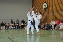 IMG_1545_bearbeitet-1