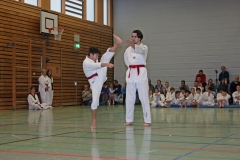 IMG_1546_bearbeitet-1