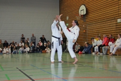 IMG_1548_bearbeitet-1