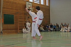 IMG_1553_bearbeitet-1