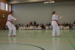 IMG_1571_bearbeitet-1