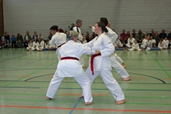 IMG_1609_bearbeitet-1