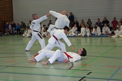 IMG_1613_bearbeitet-1