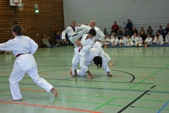 IMG_1620_bearbeitet-1