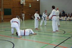 IMG_1622_bearbeitet-1