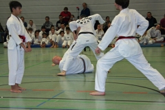 IMG_1630_bearbeitet-1