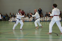 IMG_1644_bearbeitet-1