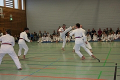 IMG_1661_bearbeitet-1