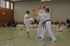 IMG_1679_bearbeitet-1