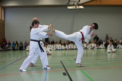 IMG_1682_bearbeitet-1