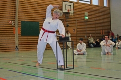 IMG_1694_bearbeitet-1