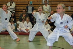 IMG_1120_bearbeitet-2