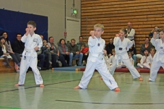 IMG_1123_bearbeitet-2