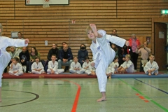 IMG_1124_bearbeitet-1