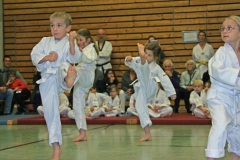 IMG_1126_bearbeitet-1