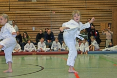 IMG_1130_bearbeitet-1