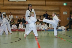 IMG_1137_bearbeitet-1