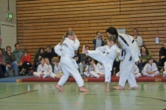 IMG_1138_bearbeitet-2