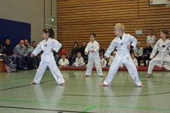 IMG_1142_bearbeitet-1