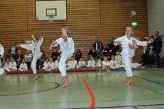 IMG_1144_bearbeitet-1