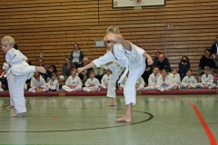 IMG_1151_bearbeitet-1