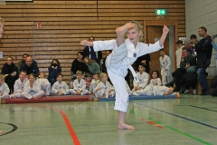 IMG_1152_bearbeitet-1