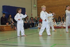 IMG_1154_bearbeitet-1