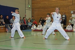 IMG_1167_bearbeitet-1