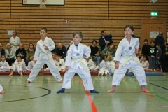 IMG_1168_bearbeitet-1