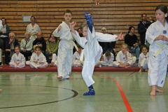 IMG_1170_bearbeitet-1