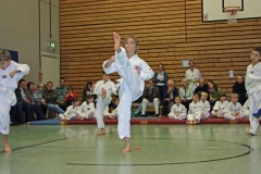 IMG_1172_bearbeitet-1