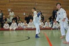 IMG_1173_bearbeitet-1