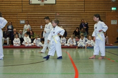 IMG_1175_bearbeitet-1