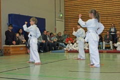 IMG_1176_bearbeitet-1