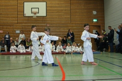 IMG_1177_bearbeitet-1