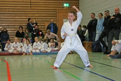 IMG_1184_bearbeitet-1