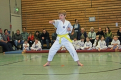 IMG_1197_bearbeitet-1