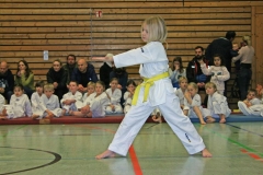 IMG_1200_bearbeitet-1