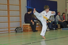 IMG_1208_bearbeitet-1