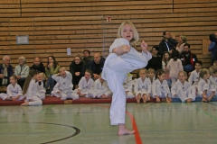 IMG_1210_bearbeitet-1